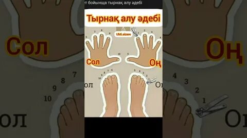 Шұлықтағы толық аяқтар