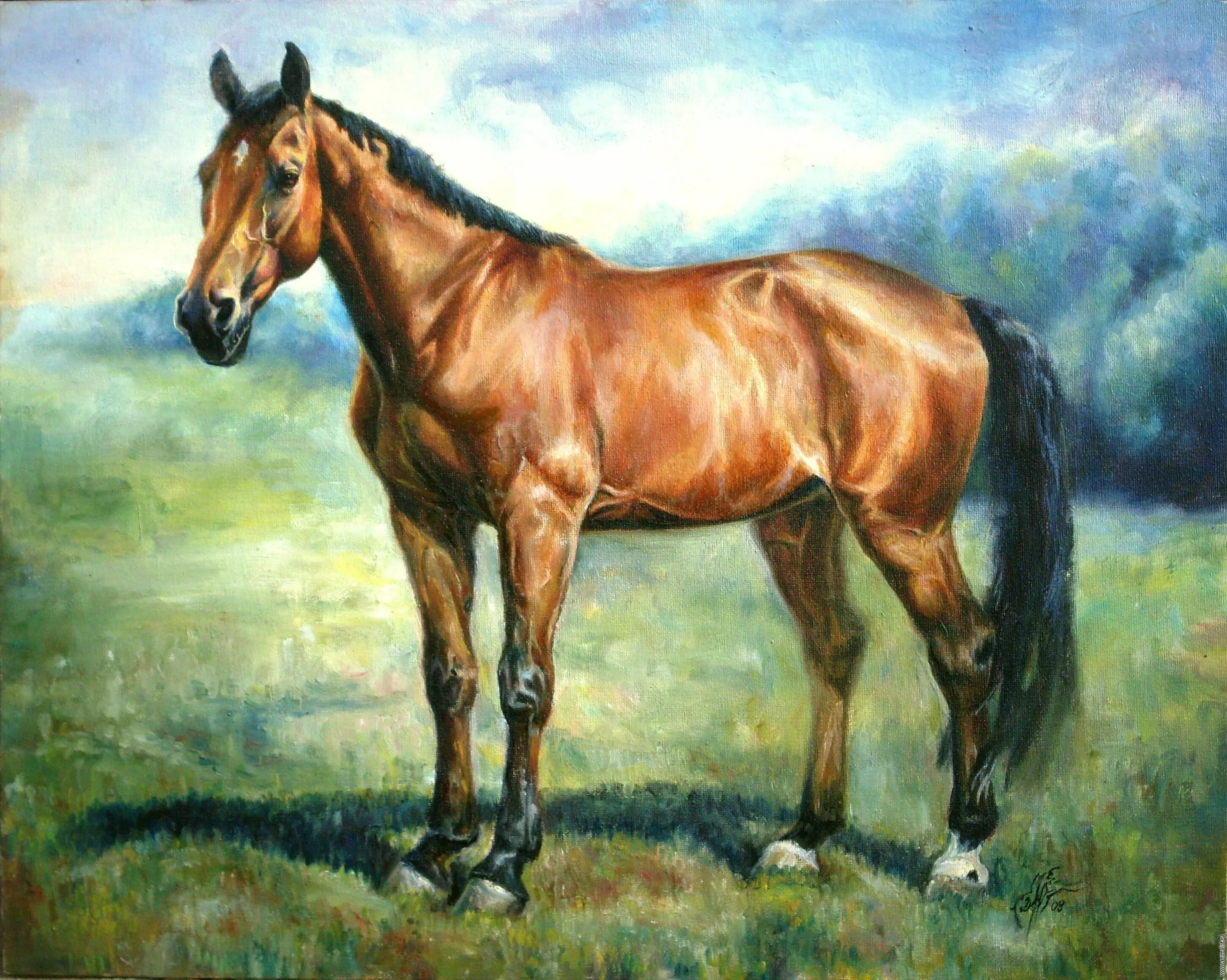 Спартако Ломбардо лошади. Лошади в живописи. Картины с лошадьми известных художников. Кони живопись маслом.