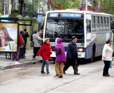 Почему автобусы стоят на остановках