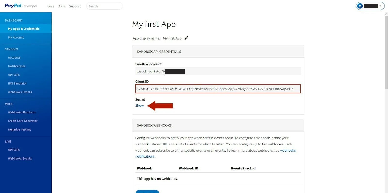 Paypal generator. Paypal приложение. paypal фейковая карта. paypal developer. fake paypal generator.