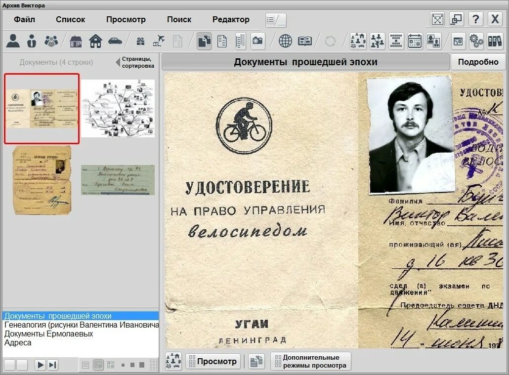 Семейное древо есенина. Как найти архив семьи. Семья купца сорокина нижегородская губерния. Родословное древо есенина. Как найти архив семьи.