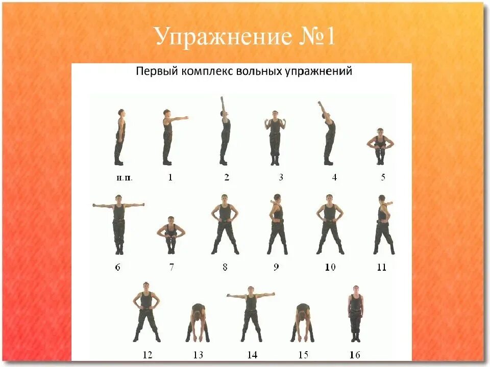 Комплекс вольных упражнений 1 2 3. Комплекс упражнений для зарядки. Комплекс упражнений утренней гимнастики. Комплекс упражнений для утренней зарядки. Комплекс армейский