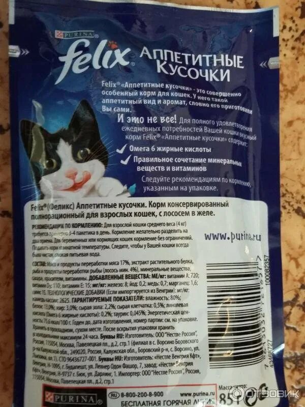 Корм кота содержание. Корм кота содержание