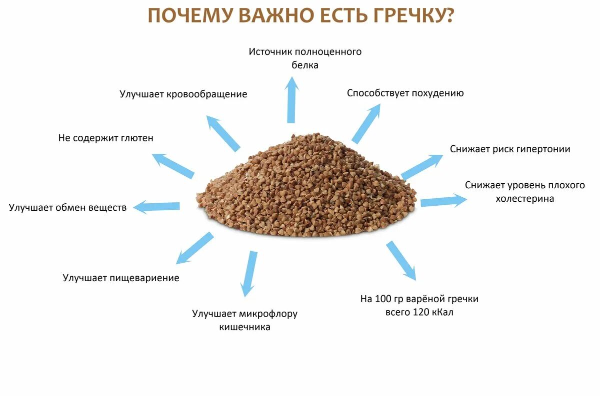 Чем вредна гречка для организма