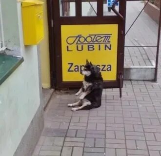 Деньги должны переночевать