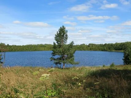 Озеро светлое нижегородская область