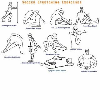 Types of exercises