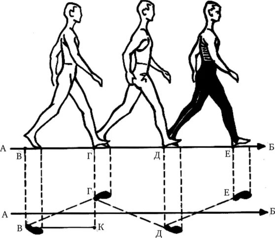 Длина шага на средних дистанциях. Измерение расстояния шагами. Измерить шаг. Измерение длины шага. Средняя ширина шага человека.