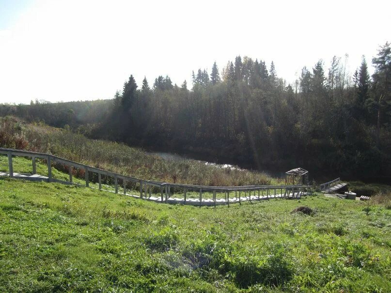 Деревня потанино. Потанино Волховский район. Деревня Потанино Волховский район. Самушкино Волховский район. Деревня Самушкино.