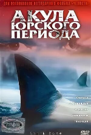 Акула 2003