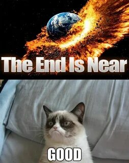 Funny end