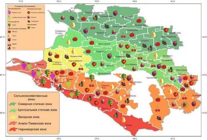 Культуры выращиваемые на северном кавказе. Сельское хозяйство Краснодарского края карта. Сельхоз карта Краснодарского края. Сельскохозяйственная карта Краснодарского края. Карта промышленности Краснодарского края.