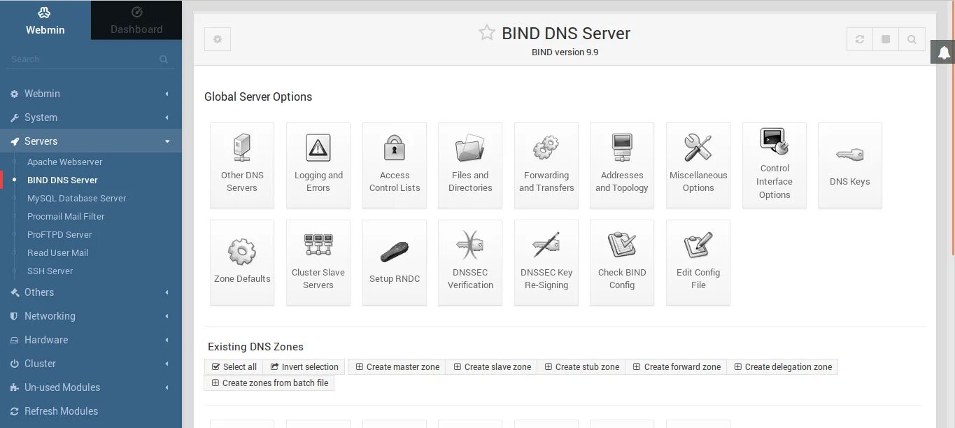 Bind checked. Webmin панель. webmin bind. панель управления virtualmin. bind dns.