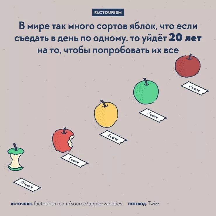 интересные факты для детей. необычный факт про. интересные факты в картинках. смешные факты в картинках. необычный факт про.