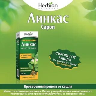 Линкас плющ отзывы