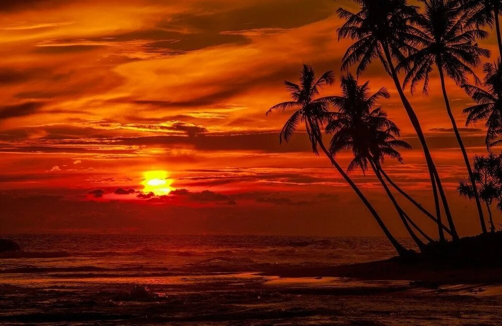 Шри солнце. Шри Ланка рассвет. Тангалле Шри Ланки закат. Красивый закат. Закат картинки.