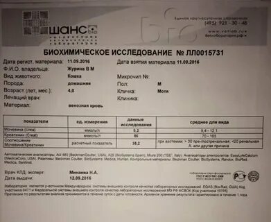 Аллерген 2