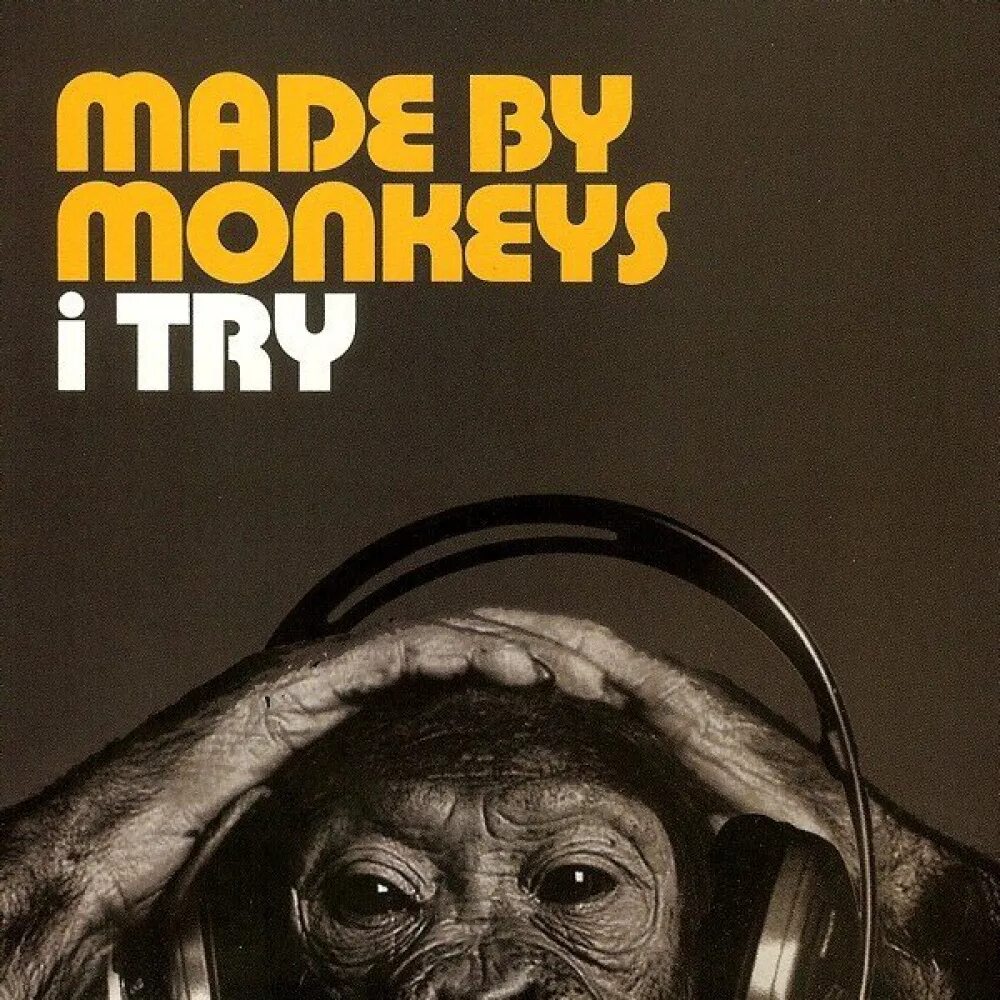Monkey me песня. Обезьяна на обложке журнала. мартышка слушает музыку. try me обезьяна. трек monkeys.
