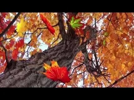 Осень падают листья слушать