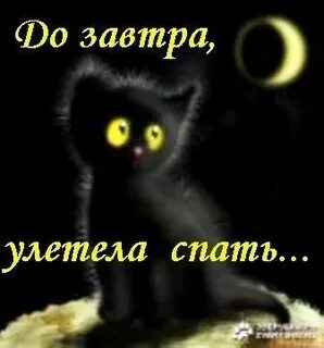 Пора пока завтра будет