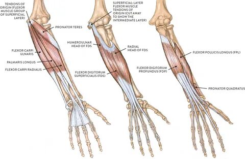 Arm n leg