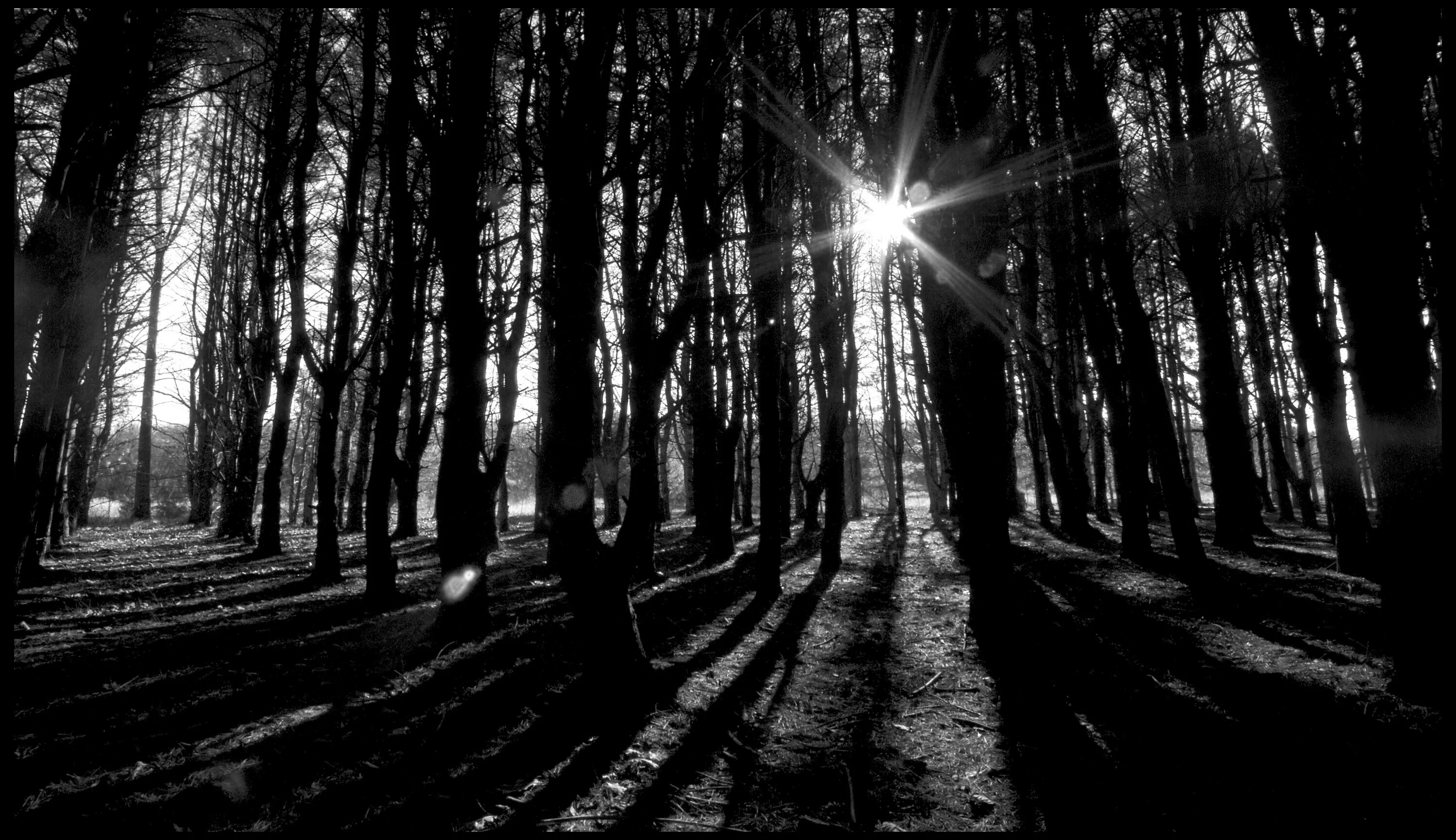 Темная ис. Темные картинки. Deep Dark лес. Темная Bing. Deeply Dark.