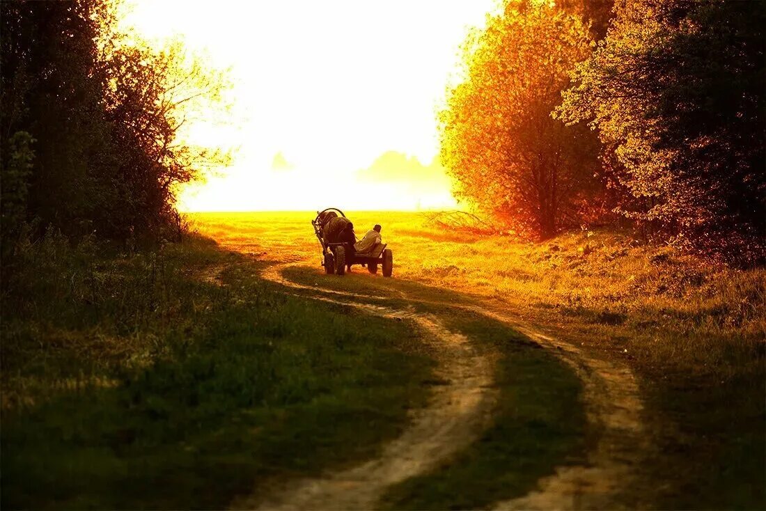 Уходя в далекие края. Одинокий путник в горах. Уходя в далекие края. Жизненные дороги. Повозка на закате.