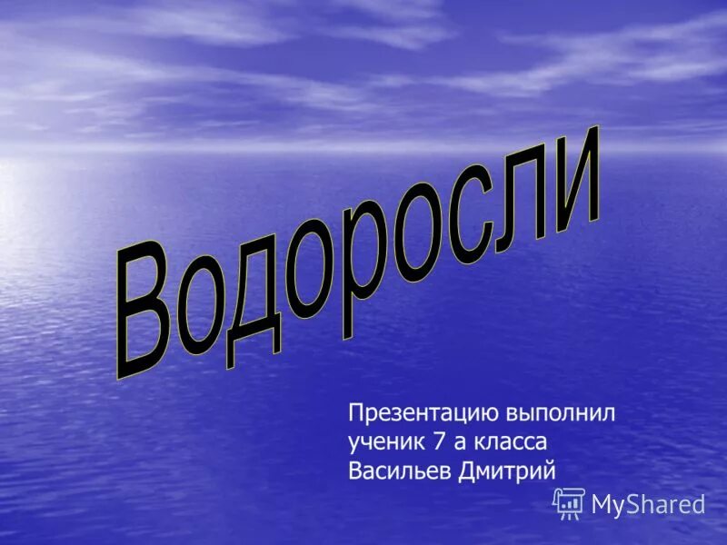 Водоросли проверочное