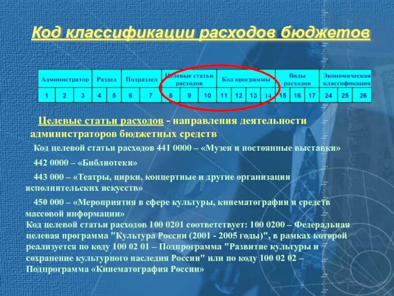 Разряды код счета. Код целевой статьи расходов. Целевая статья расходов. Код классификации расходов бюджета. Код статьи бюджета.