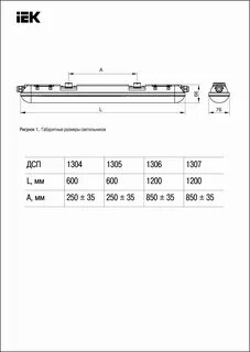 Iek дсп 1304