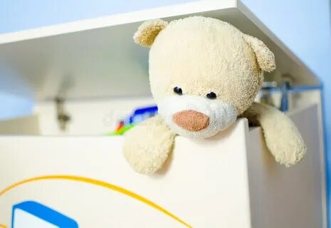 The teddy bear is the box
