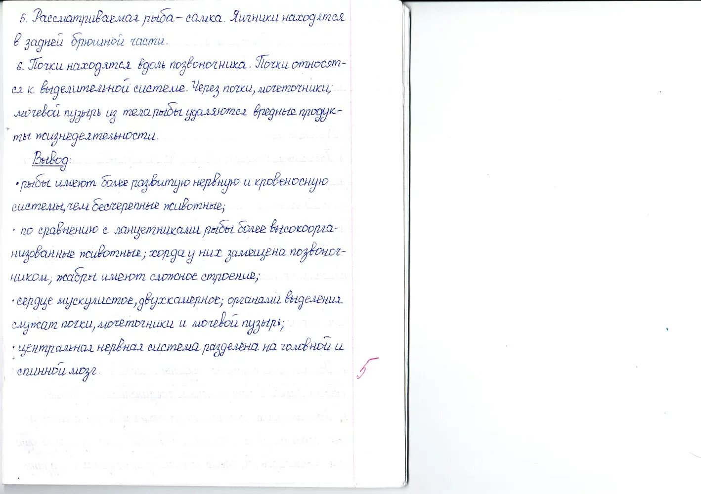 биология 7 класс лабораторная работа. 7 задания по биологии. биология 8 класс учебник константинов гдз лабораторные работы 6. лабораторная работа класс по биологии. лабораторная по биологии 7 класс латюшин.