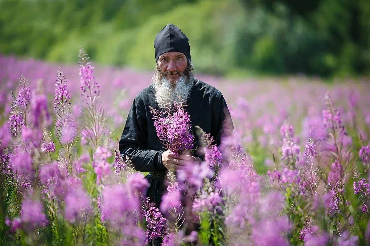 Сборы в мире