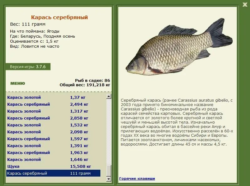 искусственное тесто для рыбалки. карась рыба вес. болтушка в шприце для рыбалки. хлебный мякиш для рыбалки. мастырка на карася.