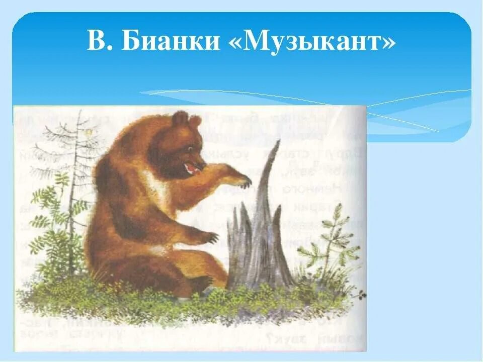 Музыкант произведение автор. Медведь музыкант Бианки. Сказка музыкант Бианки.