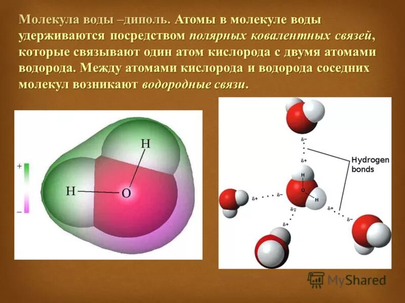 Атомы воды образованы. Строение воды диполь. Диполь молекула. Молекула молекула воды.