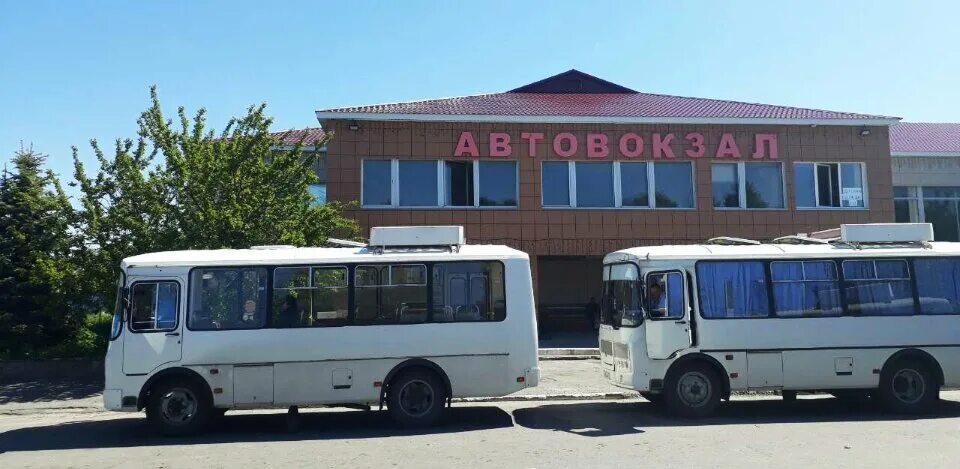 Автобусы школа автовокзал. Автовокзал Шебекино. Автовокзал 31 Шебекино. Автобусы Шебекино. Автобус Большетроица Шебекино.