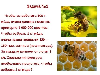 1 кг нектара