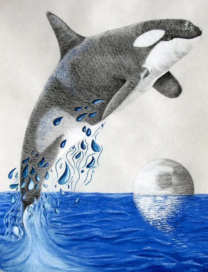 Рисование кит. Кит карандашом. Кит гуашью. Рисовать китов. Папа кит карандашами