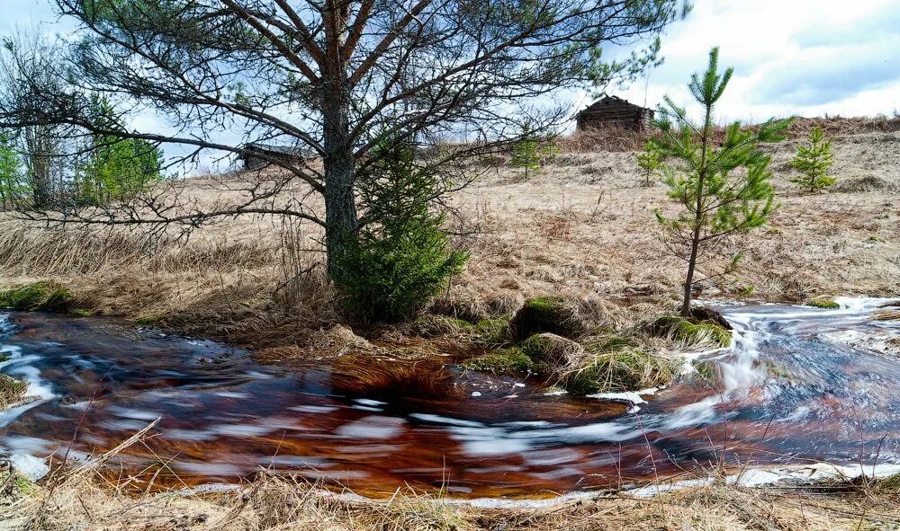 Ручей весело бежал. Весенние ручьи. Весенний Ручеек. Бегут ручьи. Ручейки весной.