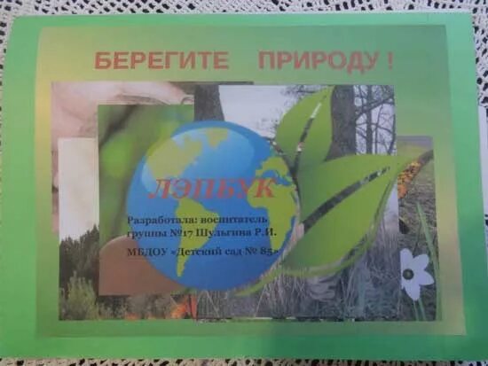 Лэпбук береги природу. Лэпбук по экологии берегите природу. Лэпбук береги природу. Лэпбук на тему береги природу. Лэпбук береги природу.
