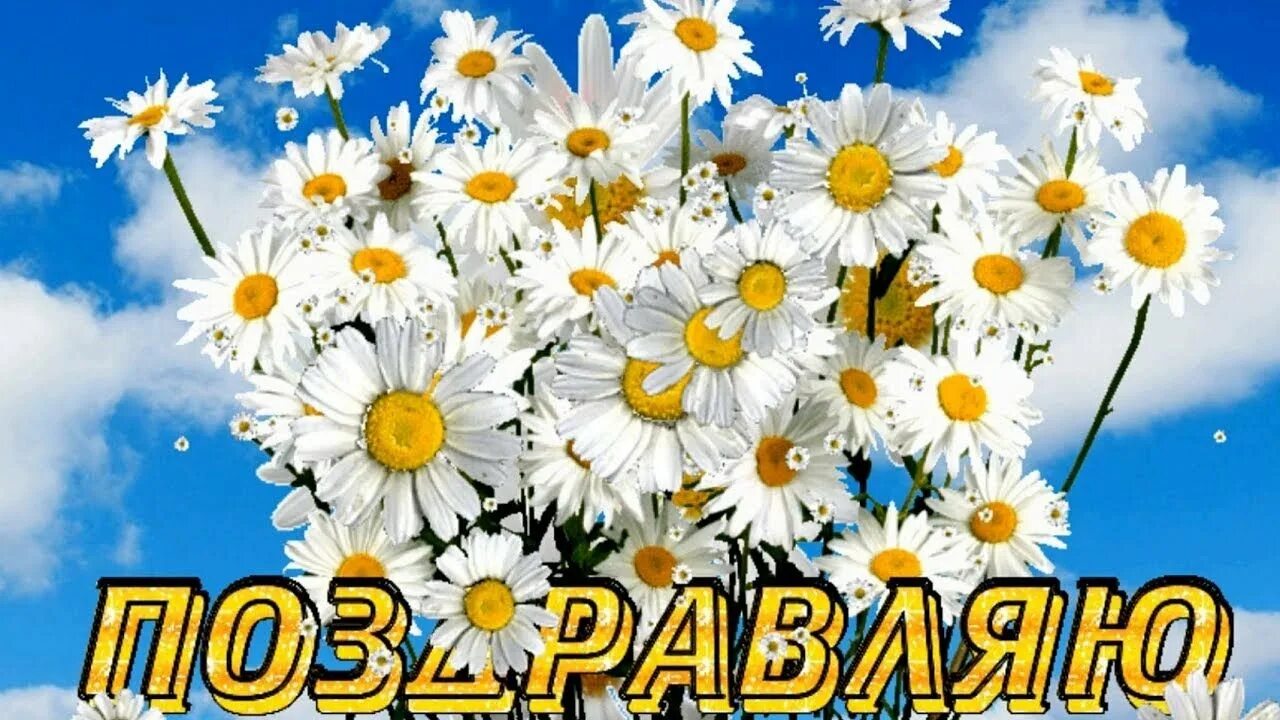 Видео открытки с днем семьи любви. С днём семьи любви и верности. Видео открытки с днем семьи любви. С днём семьи любви и верности. С днём семьи любви и верности картинки.