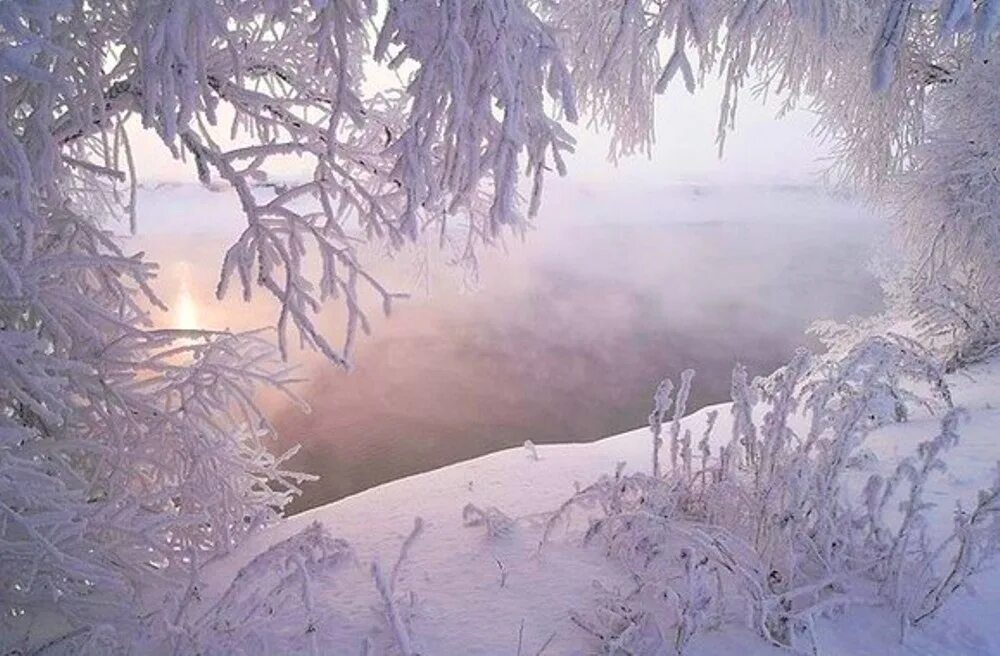 Метели снега и туманы покорны морозу. Снежный лес в тумане. морозное дыхание метели. вьюга туман. зимние узоры.