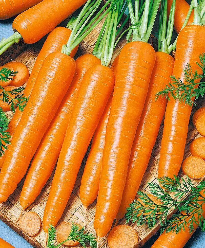 Carrot vegetable. Морковь Морелия f1. Морковь Нэля f1. Сорт моркови Флакке агрони. Сорт моркови Каротель.