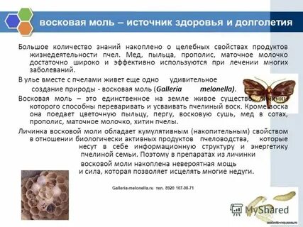 Моль применение