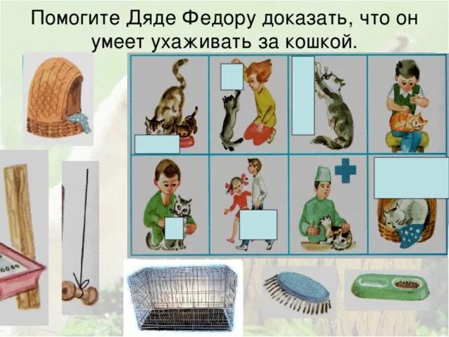 Предметы для ухода за кошкой. Предметы ухода за кошкой. Предметы для ухода за кошкой рисунки. Предметы для ухода за животными картинки. Предметы ухода за домашними животными 1 класс.