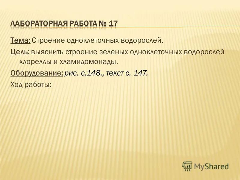 Лабораторная работа строение водорослей