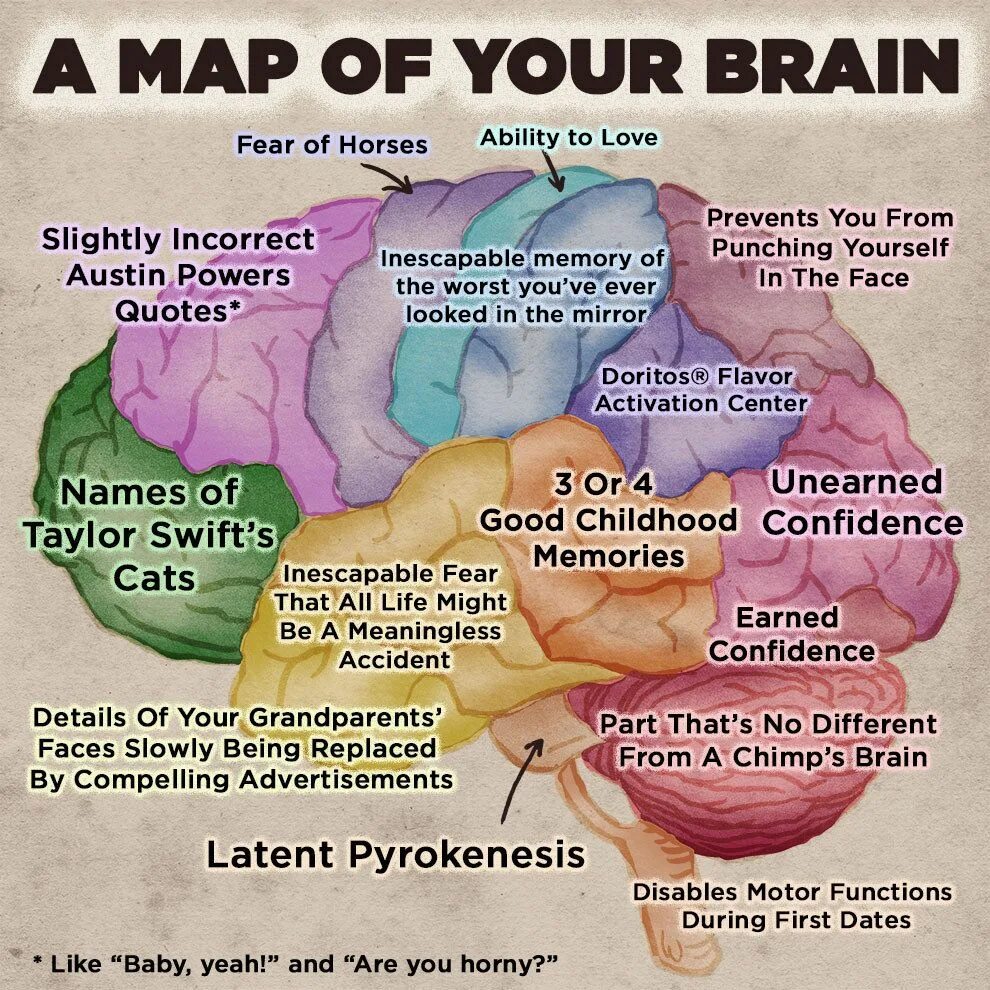 Brain Maps. Brain Map function. Brain Map программа. The Brain Maps человек. Brain карта