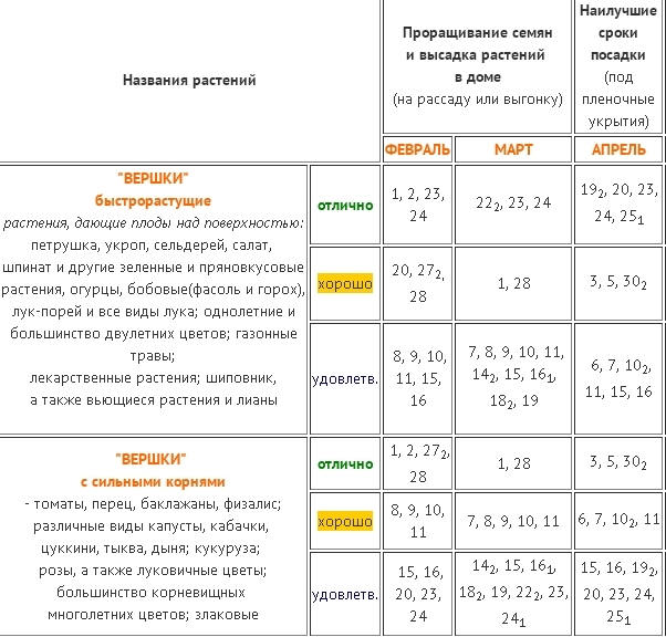 Календарь посеять помидоры на рассаду. Какого числа сеять помидоры. Какого числа сеять томаты на рассаду в марте. Какого числа в марте сажать томаты на рассаду. Срок посева томатов в марте.