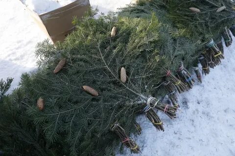 Елочный базар тюмень